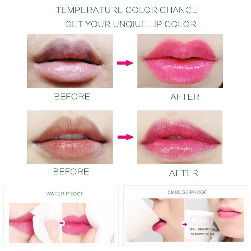 Aloe Vera Moisturizing Lip Balm My Store